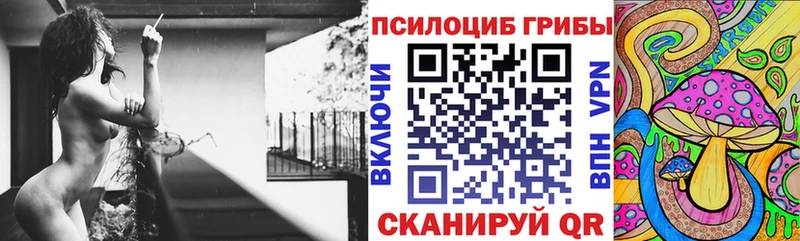 Псилоцибиновые грибы Cubensis дарнет шоп Корсаков