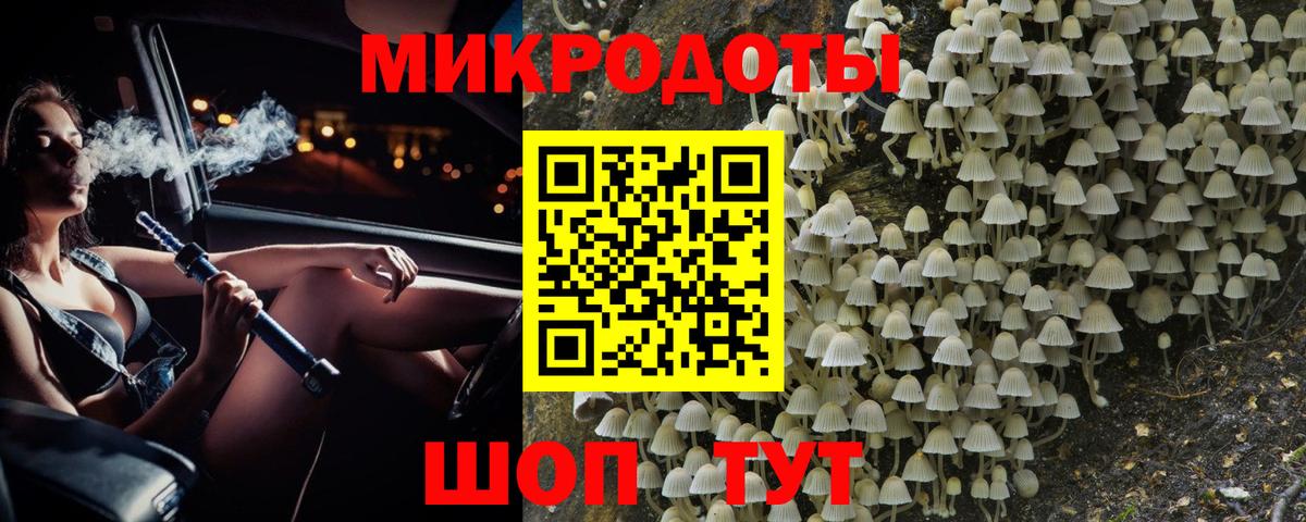 Корсаков  Псилоцибиновые грибы мицелий  продажа наркотиков  Вход с VPN  Псилоцибиновые грибы Psilocybe 